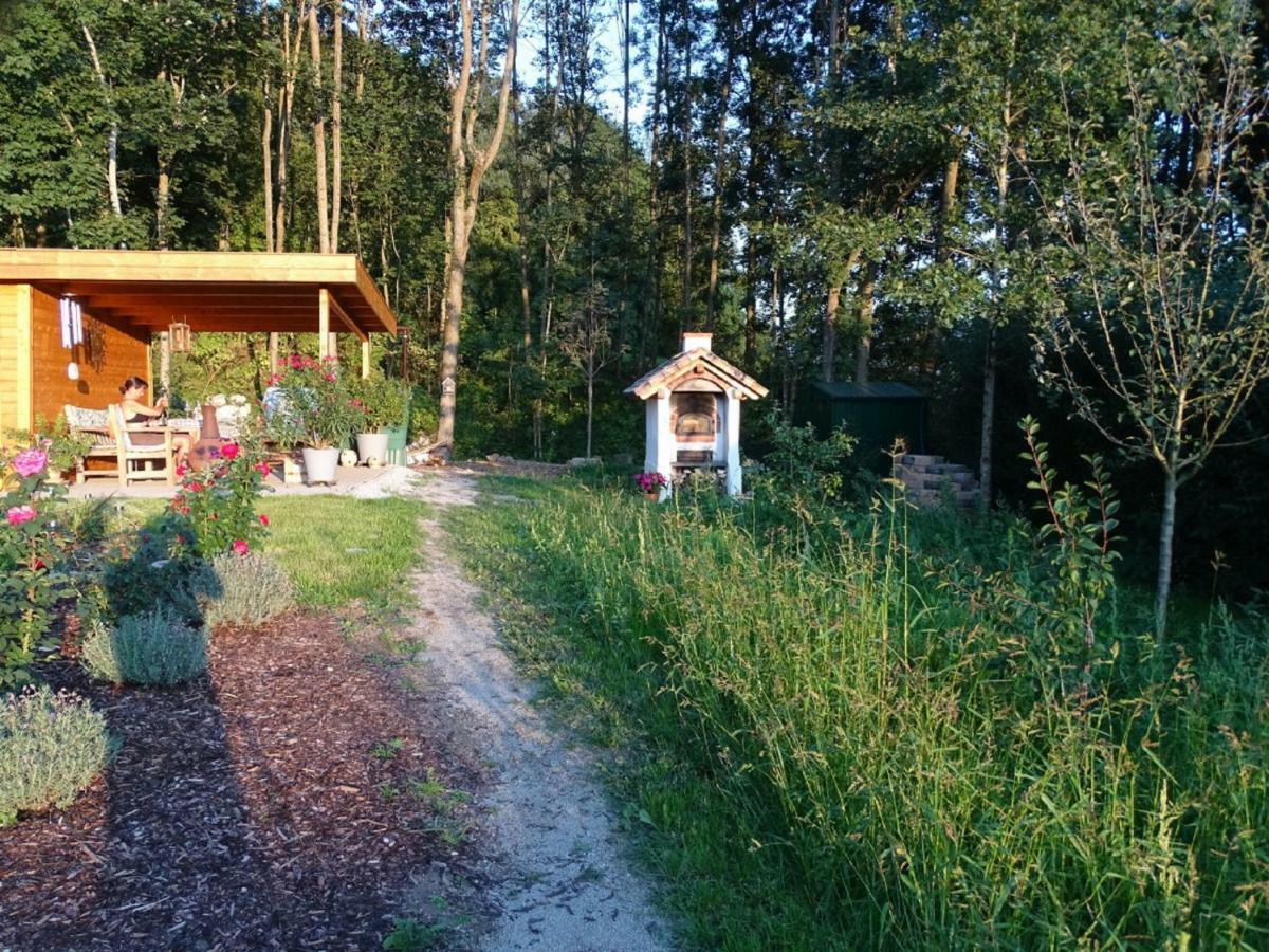Ferienwohnung Hofstatt Lalling Екстериор снимка